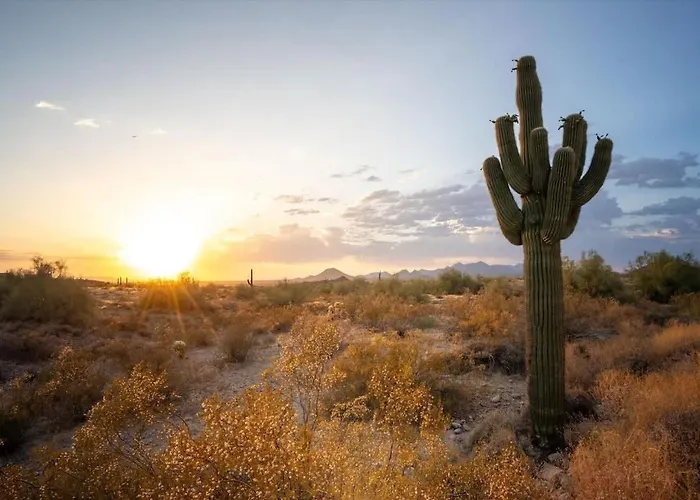 Ferienhaus Desert Sunset *